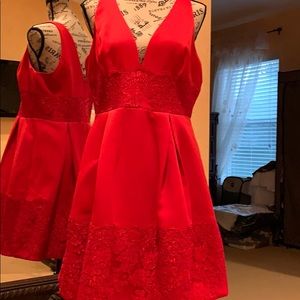 Bedgly and Mischka dress